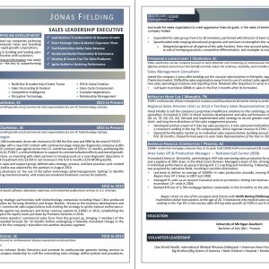 Sales Executive Resume Sample 2018-combined-pages